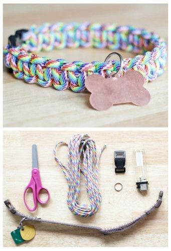 Do It Yourself Projects | Greenville Humane Society ...