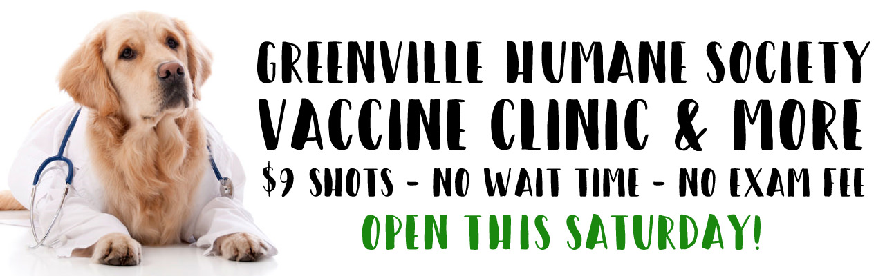 Greenville Humane Society | Greenville, SC